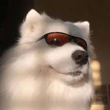 สมบัติ เมทะนี avatar